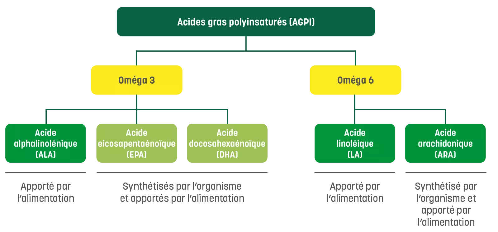 sthubert_omega3_brochure-elements_2024-06-20-01